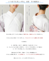 たかはしきもの工房 うそつき衿(正規品)