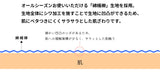 和じゅばん 綿楊柳 洗える長襦袢